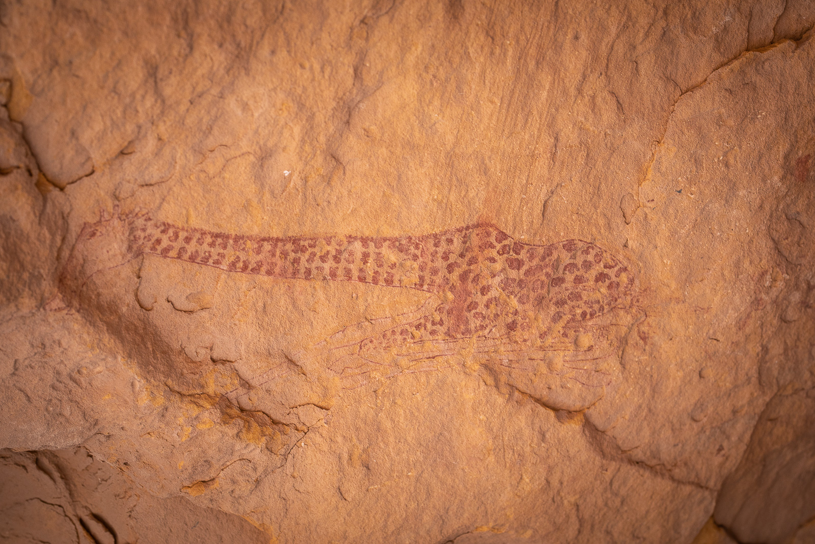 Human & Nature  outoftime 46